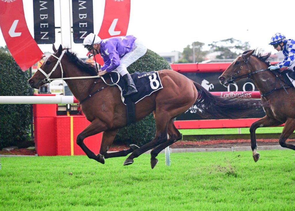 FLAXLANDS first past the post at Doomben