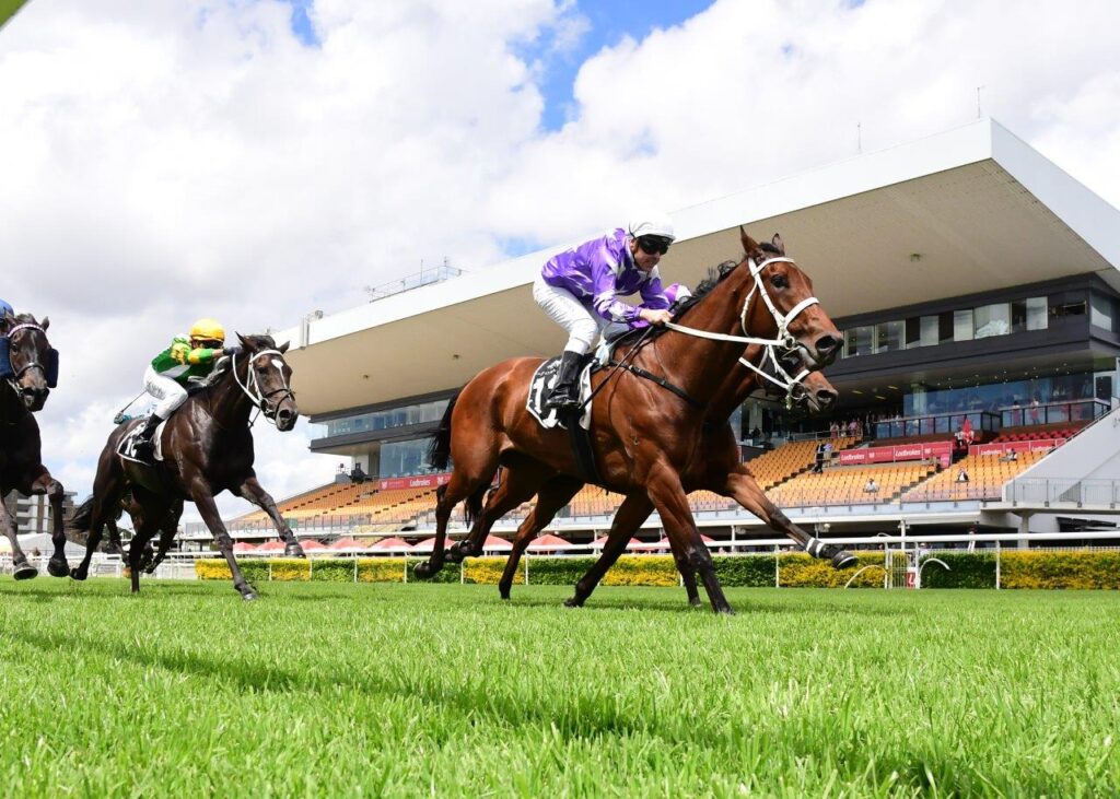 FLAXLANDS opens the Doomben card with a good win