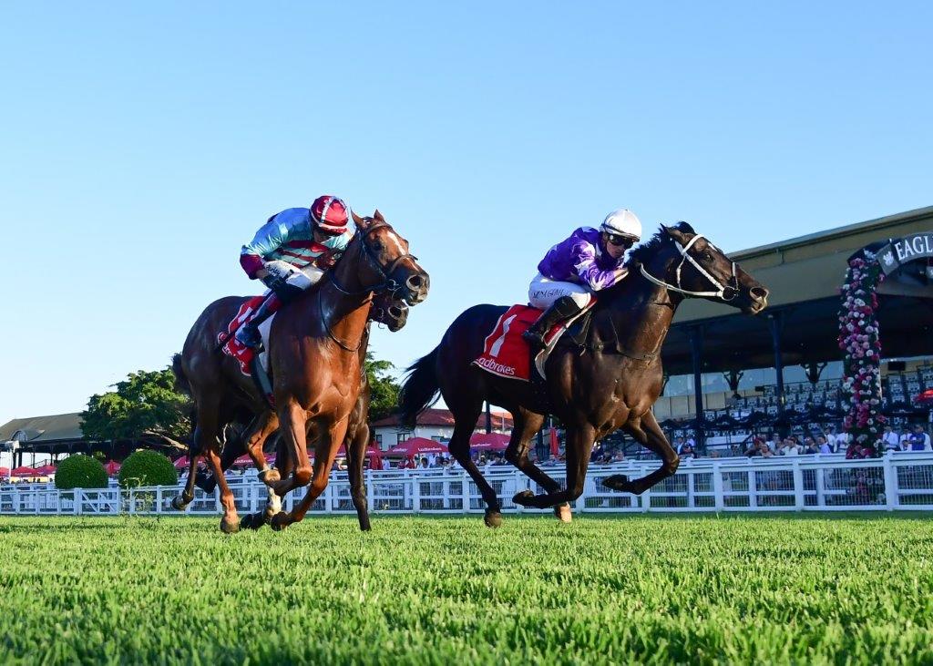 VANESSI charges home for an Eagle Farm victory