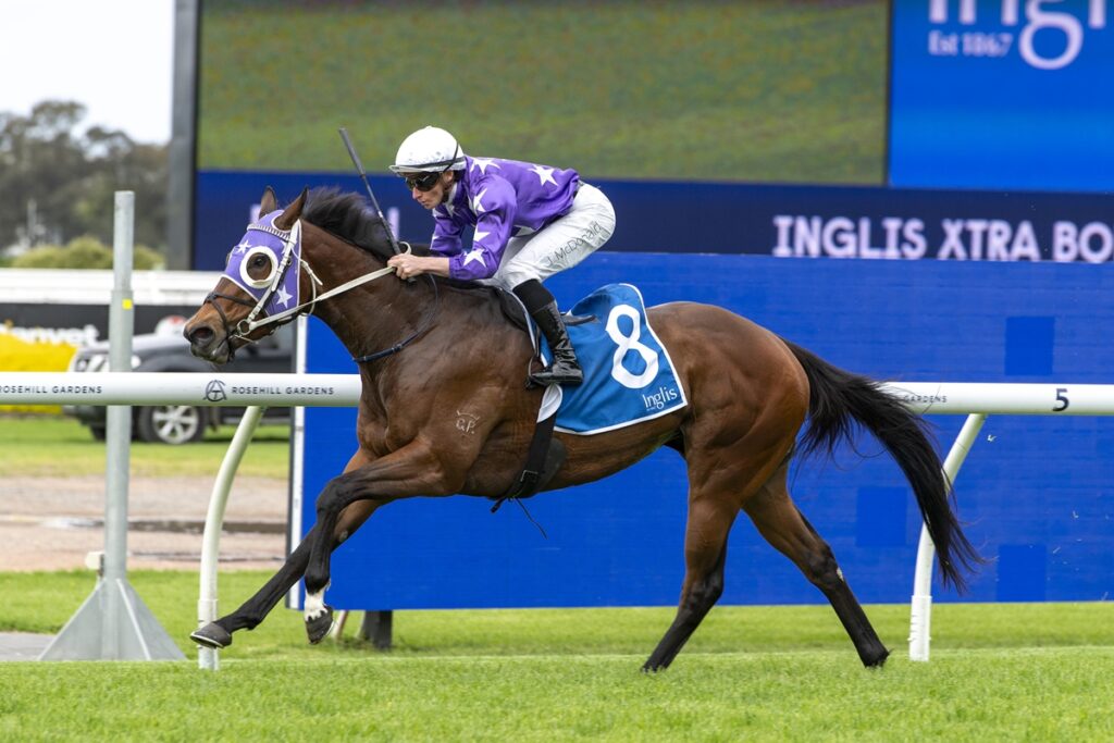 AFFARI wins in impressive style at Rosehill Gardens