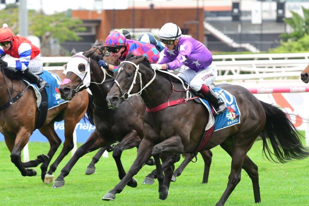 Back to back wins for VANESSI at Eagle Farm