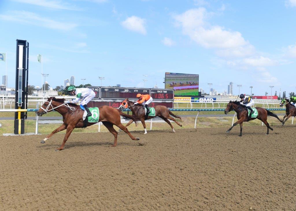 EGMONT wins on debut at the Gold Coast