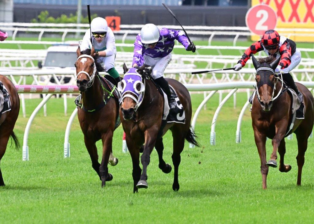 ANCESTRAL breaks through at Doomben